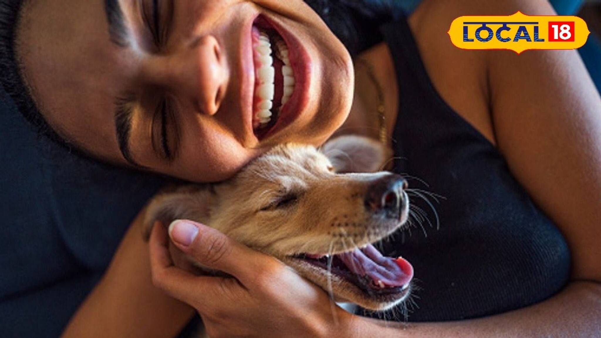 শনি, রাহু, কেতু হবে শান্ত! ঘুরে যাবে ভাগ্যের চাকা! এই নিয়মে বাড়িতে কুকুর রাখুন