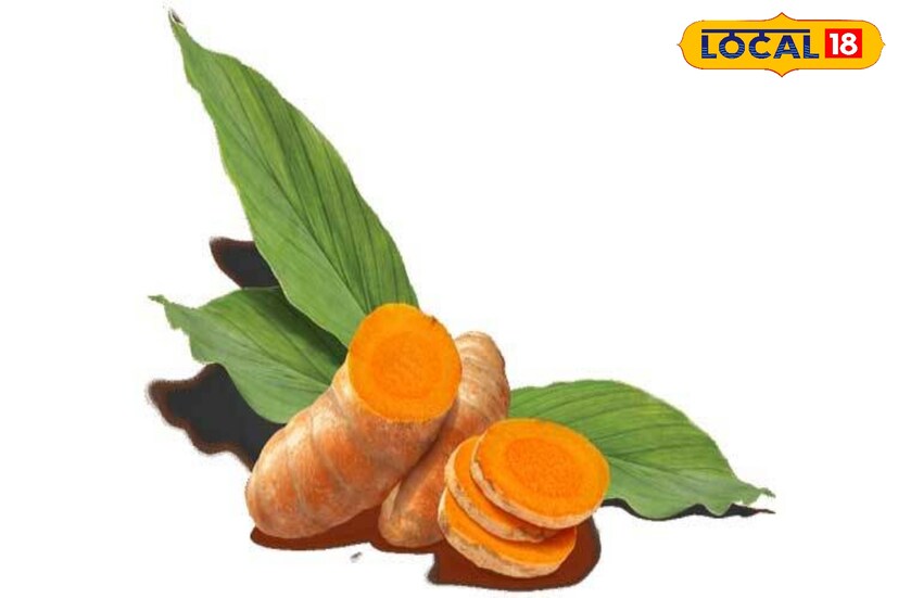 কাঁচা হলুদের মধ্যে রয়েছে জীবাণু নাশক গুণ। তাই রোজ সকালে খালিপেটে কাঁচা হলুদ খেলে ফল টের পাবেন হাতেনাতেই।