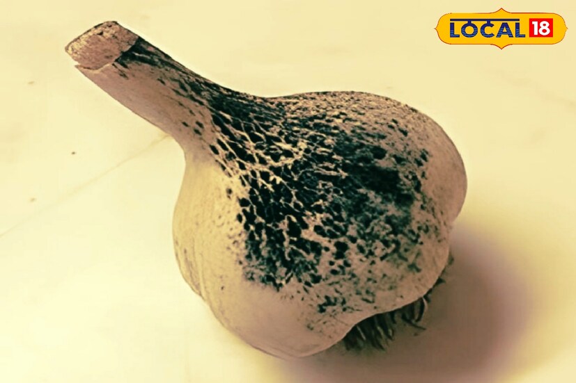 অভিজ্ঞ চিকিৎসক বিশ্বজিৎ সরকার জানান, রসুনের মধ্যে থাকা এই ধরনের কালো দাগ এক ধরণের ছাঁচ। যা সাধারণত অ্যাসপারগিলাস বা পেনিসিলিয়াম নাম উপাদান।