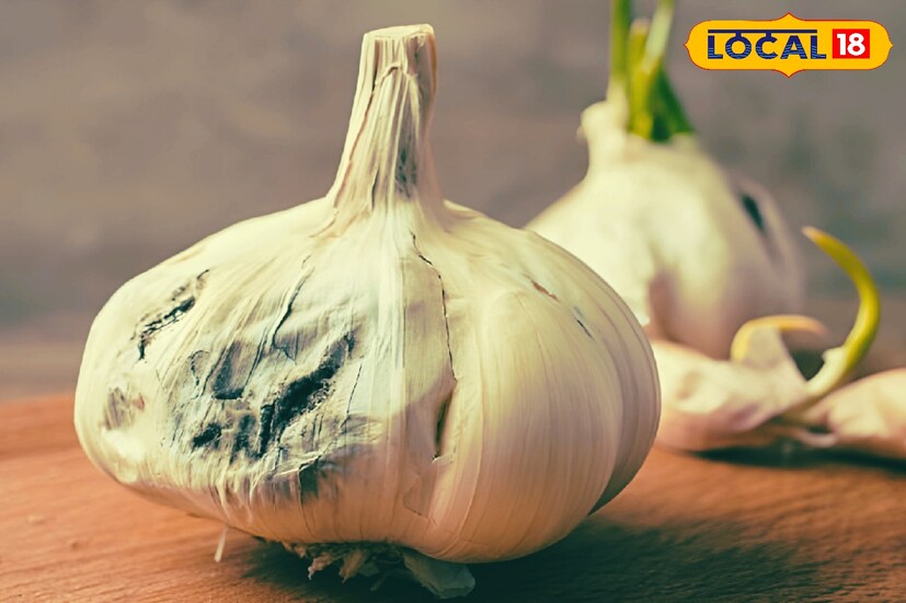 বাতাসের উচ্চ আর্দ্রতা, রসুন কম শুকানো, অপর্যাপ্ত বায়ুচলাচল, উচ্চ তাপমাত্রা, রসুনের মধ্যে ক্ষত থাকলে বা পুরোনো কিংবা অঙ্কুরিত রসুন থাকলে এই জিনিস দেখা যায় রসুনে।