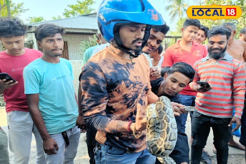 পরবর্তী সময়ে খবর পাঠানো হয় সর্প উদ্ধারকারীদের কাছে। তাঁরা এসে সাপটি উদ্ধার করে নিয়ে যান বন দফতরের কাছে।