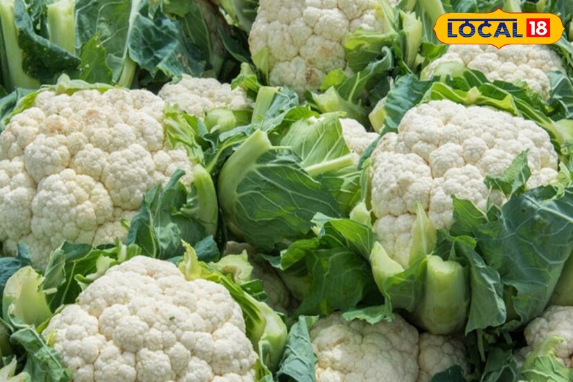 শীতের মরশুম মানেই প্রধান সবজি ফুলকপি। তবে অতিরিক্ত ফুলকপি খাওয়া ক্ষতিকর। চিকিৎসক অঞ্জলি বক্সী জানান, ফুলকপি সবাই পছন্দ করে, কিন্তু এটি আপনার পেটের জন্য খুবই ক্ষতিকর। হজমের সমস্যা এড়াতে সঠিক উপায়ে এটি খাওয়া প্রয়োজন। না হলে অনেক বড় ক্ষতি হবে। গ্যাসের সমস্যাও শুরু হয়। 