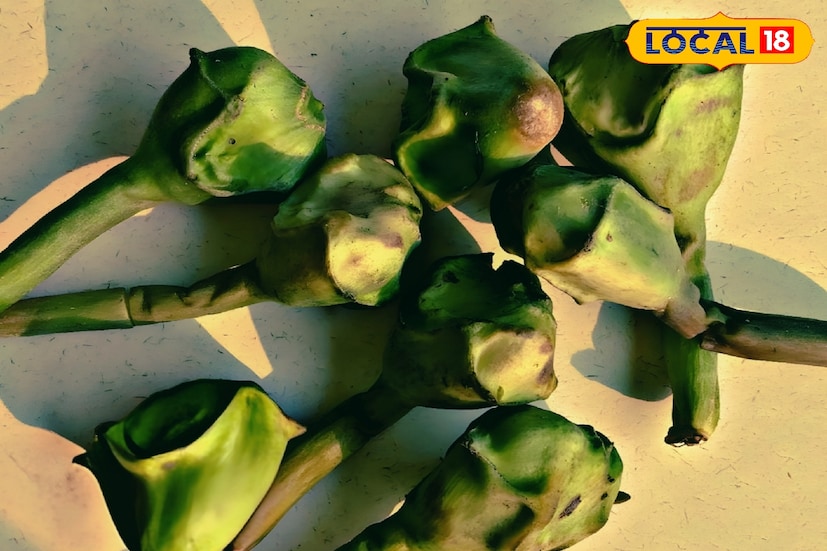 এই ফলে থাকা অ্যান্টি-অক্সিডেন্ট শরীরের ফ্রি র‌্যাডিক্যাল কমায়। আর এই ফলের অ্যান্টি-ভাইরাল এবং অ্যান্টি-ব্যাকটেরিয়াল বৈশিষ্ট্য ইমিউনিটি বাড়িয়ে তোলে।