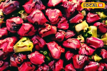 জলে হওয়া তেকোণা পানিফল জন্ডিসের মহৌষধ! রক্তচাপ বশে আনে, কিছু ক্ষেত্রে আছে নিষেধাজ্ঞা জলে হওয়া তেকোণা পানিফল জন্ডিসের মহৌষধ! রক্তচাপ বশে আনে, কিছু ক্ষেত্রে আছে নিষেধাজ্ঞা