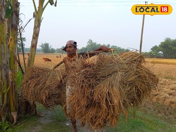 Jalpaiguri News: নতুন ধানের আনন্দে মুখরিত জলপাইগুড়ি! শুরু নবান্ন উৎসব