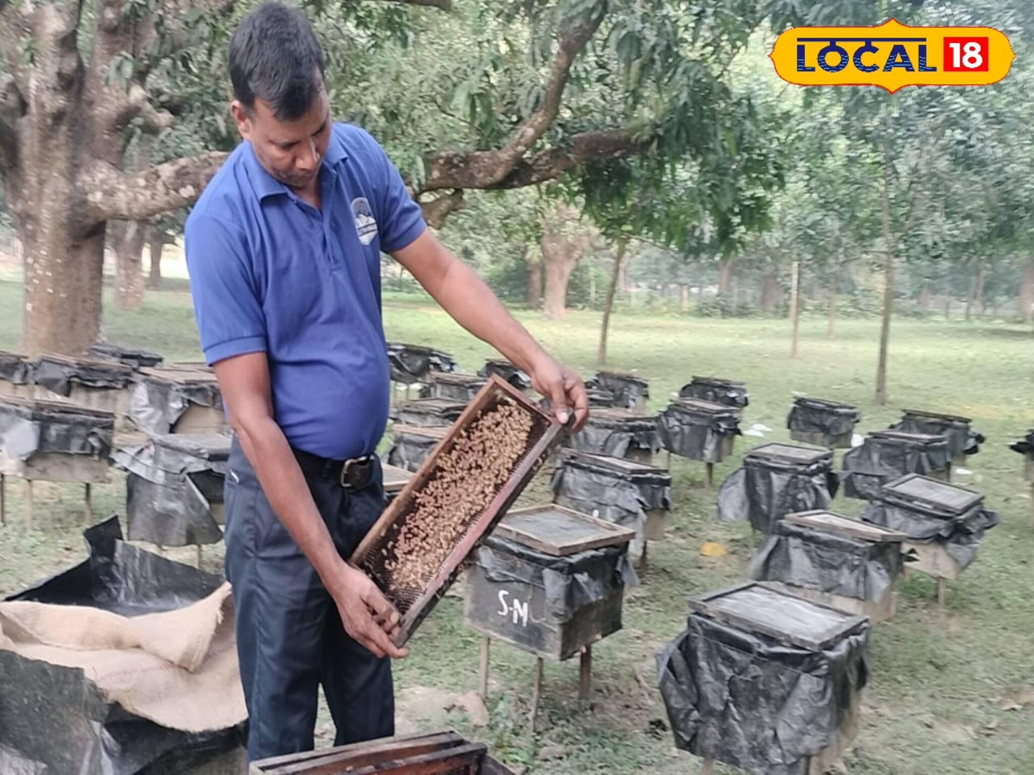 কেন্দ্রের ব্যবস্থাপনায় গুচ্ছেক সুযোগ-সুবিধা, স্পেশাল সার্টিফিকেট পাবে এই চাষিরা