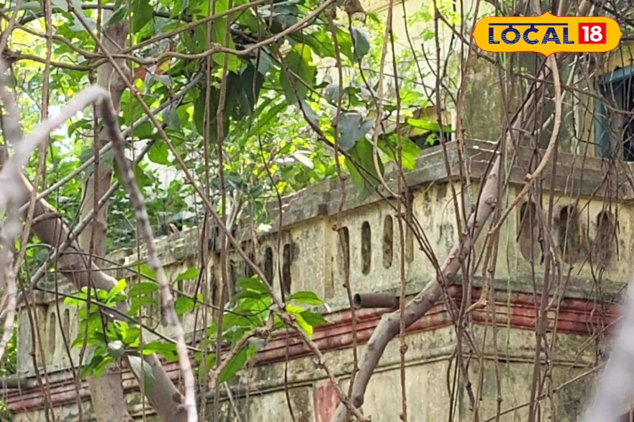 নির্মম ব্রিটিশ জেলাশাসক বার্জের বাংলো আজ বট অশ্বত্থের শিকড়ের জালে ভগ্নপ্রায়