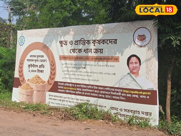ধান