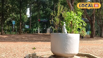 আমলাচটি