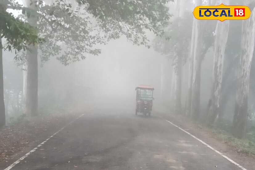 আবহাওয়া দফতর সূত্রে জানা গিয়েছে, আপাতত জেলাগুলিতে কুয়াশা থাকবে। মাঝেমধ্যে আকাশ মেঘলা থাকবে, তবে বৃষ্টির পূর্বাভাস নেই। আরও ঠান্ডা পড়তে পারে জেলাগুলিতে।