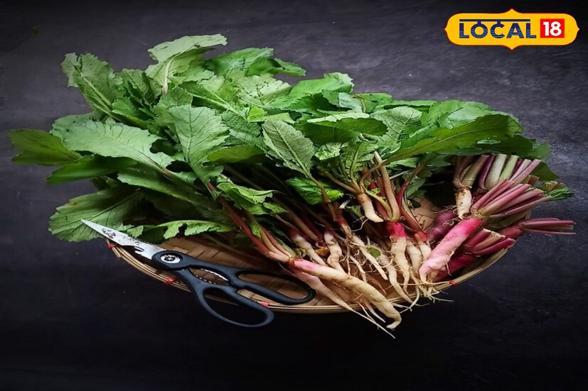 ফাইবার সমৃদ্ধ মুলো শাক কোলেস্টেরলের মাত্রা নিয়ন্ত্রণে রাখতে সাহায্য করে। রক্তচাপ স্বাভাবিক রাখতেও সাহায্য করে এই শাক। ফলে হৃদরোগের ঝুঁকি কমে এবং হার্ট সুস্থ থাকে। 