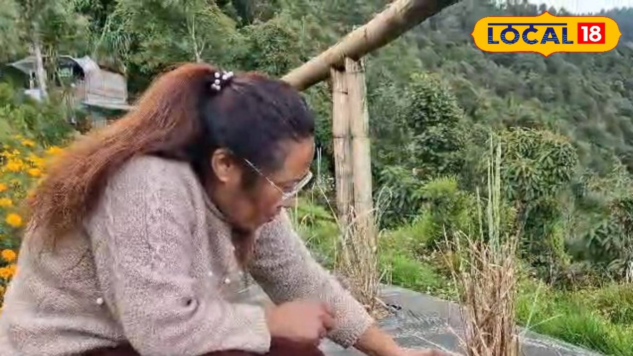 এই ‘ঘাস’ খেলেই কুপোকাত কোলেস্টেরল! মারণ রোগও থাকবে দূরে, গুণ জানলে অবাক হবেন