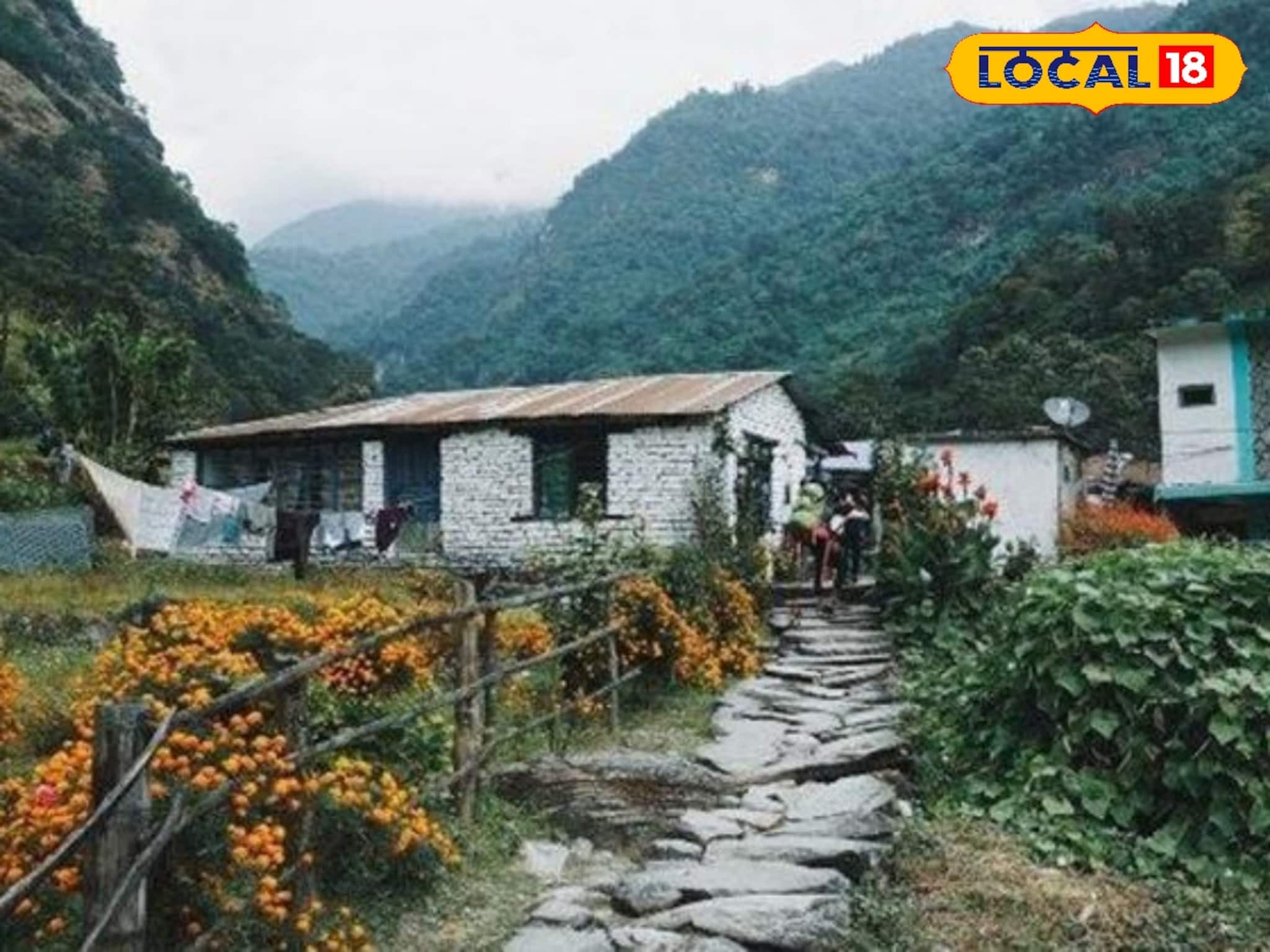 ফুল-অর্কিডের সাম্রাজ্য এই পাহাড়ি হ্যামলেট, বড়দিনের ছুটিতে ঘুরে আসুন চুইখিম