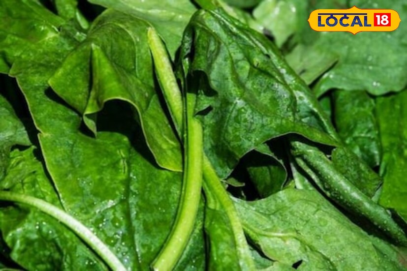 অন্তত এমনটাই জানাচ্ছেন বিশিষ্ট ডাক্তার কৌশিক সেনগুপ্ত।পালং শাকে ক্যালরির পরিমাণও অনেক। কাজেই যত ইচ্ছা খান, ওজন বাড়ার চিন্তা নেই।