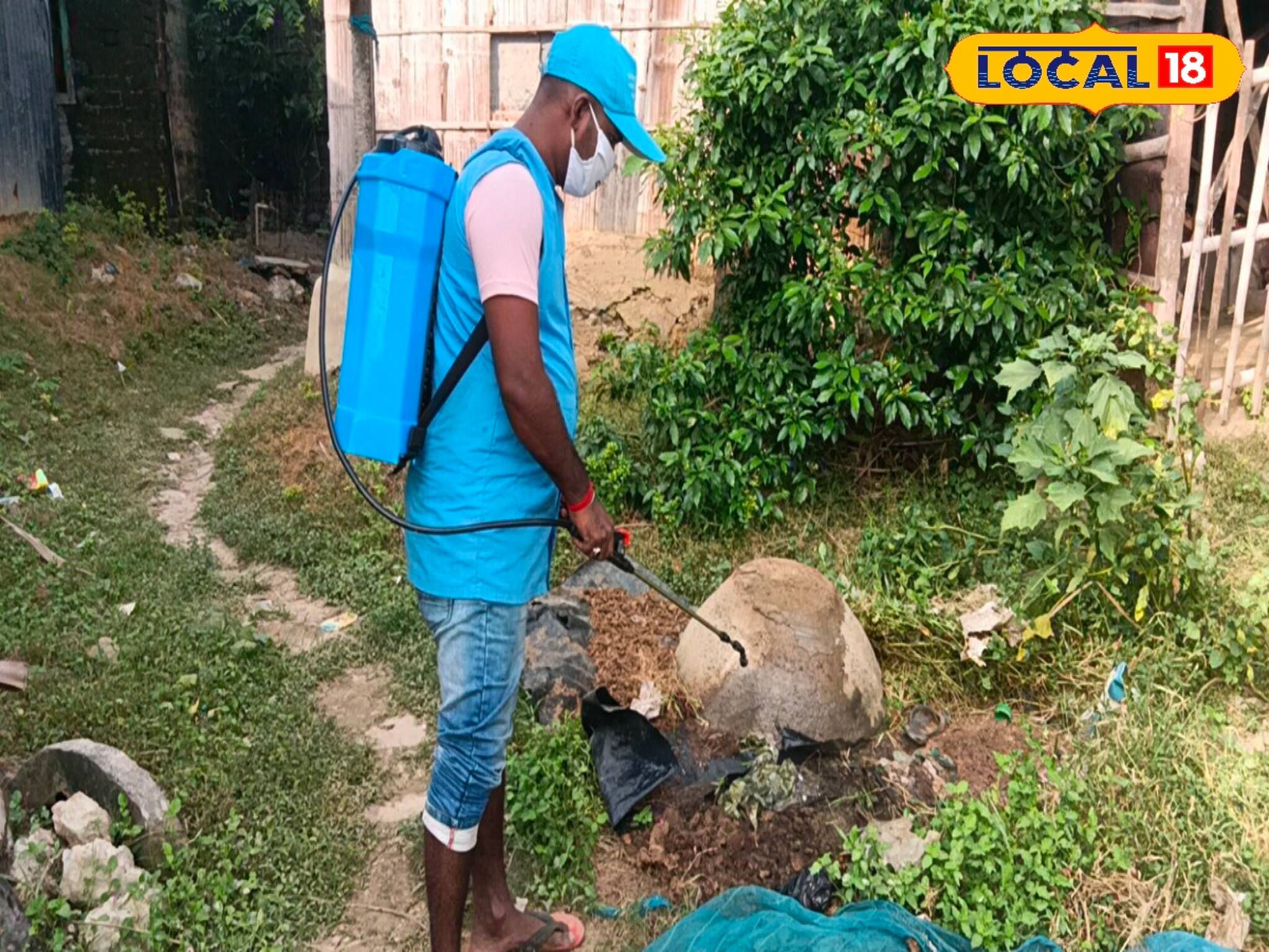 মালদহে এখনও খেল দেখাচ্ছে মশা! শীতেও হু হু করে বাড়ছে ডেঙ্গির প্রকোপ