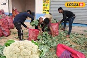 মাত্র ৩ টাকায় ফুলকপি! অবাক লাগলেও সত্যি, কোফতা-রসা বানাতে কোথায় গিয়ে কিনবেন