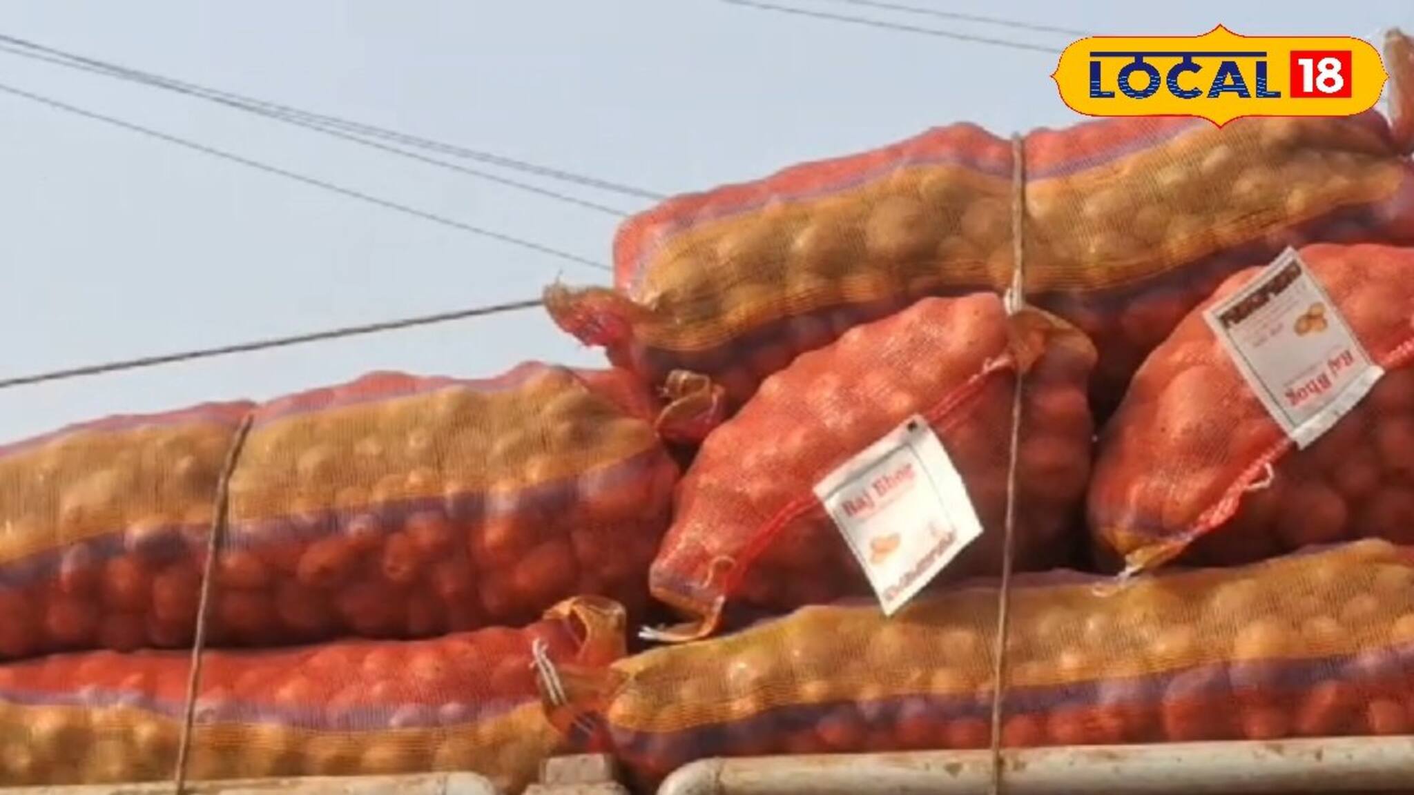 ঘুরে যাচ্ছে একের পর এক লরি! আলুর দাম নিয়ন্ত্রণে রাখতে সীমান্তে যা চলছে...