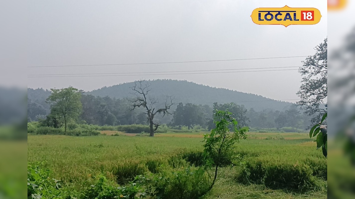 Jhargram Trip : পর্যটকদের জন্য পুরোপুরি সুরক্ষিত, ঝাড়গ্রামে গেলে কোনও আতঙ্ক নেই, পুলিশ নিল বড় স্টেপ