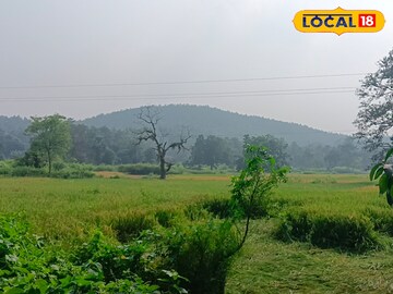 অরণ্য