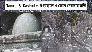 জঙ্গলের মধ্যে হঠাৎ প্রাচীন দেব মূর্তি আবিষ্কার 