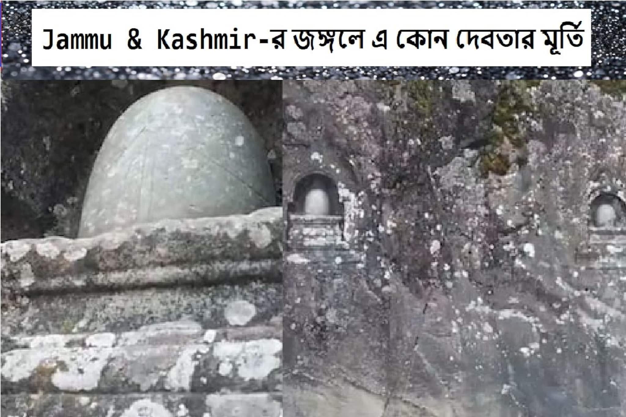 কাশ্মীরের জঙ্গলের ভিতর হঠাৎ দেখা মিলল প্রাচীন সৌধের, খোদাই রয়েছে হিন্দু মূর্তি