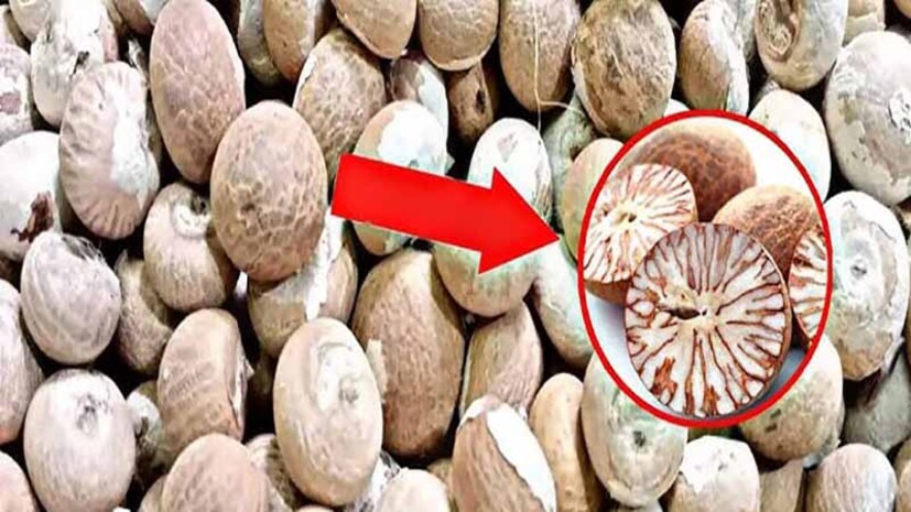 সুপারি চিবানোর অভ্যাস শুরু হয় দক্ষিণ ও দক্ষিণ-পূর্ব এশিয়ায় যা পরবর্তীতে ভারত, বাংলাদেশ, শ্রীলঙ্কা, ইন্দোনেশিয়া এবং মালয়েশিয়া-সহ বিভিন্ন দেশে ছড়িয়ে পরে।