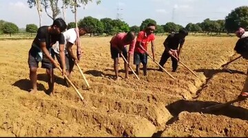 একেই বলে কপাল! আলু চাষ করতে গিয়ে মাটি কোপাতেই কী 'চকচক' করে উঠল?