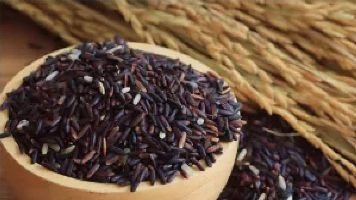 Kalunonia Rice Earn Money: পায়েসের চাল যদি কালো হয় তাহলে কী বলবেন, স্বাদে-গন্ধে ...