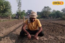 আলু চাষের সঠিক পদ্ধতি জানুন, আলু বোনা থেকে জমি প্রস্তুতি কী করতে হবে জানুন