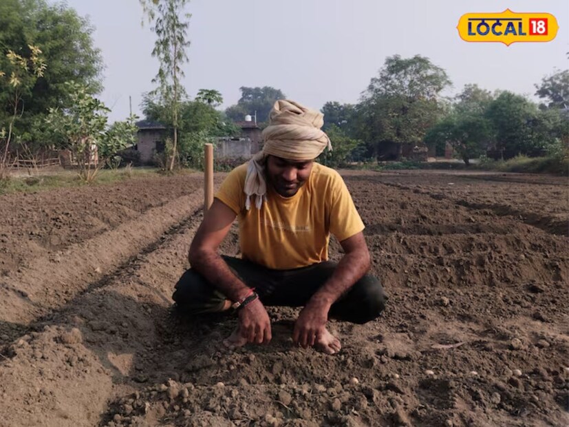 আলু চাষের জন্য জমি প্রস্তুত করার সময়, প্রথমে মাটি পালটানো হাল দিয়ে জমি চাষ করতে হবে। এরপর, দ্বিতীয় ও তৃতীয় চাষে দেশি হাল বা হেয়ারে কাজ করা উচিত। যদি মাটিতে বড় বড় গর্ত থাকে, তবে সেগুলি সাভান চালিয়ে ভেঙে ফেলতে হবে। বীজ বপনের সময় জমিতে যথেষ্ট আর্দ্রতা থাকা প্রয়োজন। এছাড়া, বিশেষজ্ঞের পরামর্শ অনুযায়ী রাসায়নিক সার ব্যবহার করতে হবে।