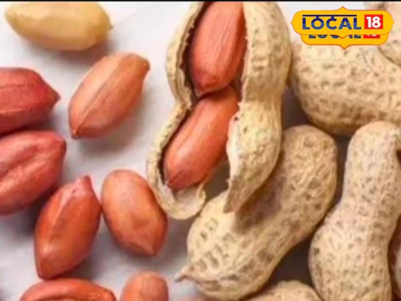 লোকাল ১৮-এ কথা বলার সময় ড. কৌশিক বিশ্বাস বলেন, অতিরিক্ত চিনাবাদাম খাওয়া স্বাস্থ্যের জন্য ক্ষতিকর হতে পারে। যে কোনো ভালো খাবারই সঠিক পরিমাণে খাওয়া উচিত।