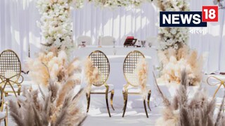 জামাইকার রিসোর্টে ২৯ দম্পতির অদ্ভুত 'নগ্ন' বিয়ে! বিস্তারিত জানুন