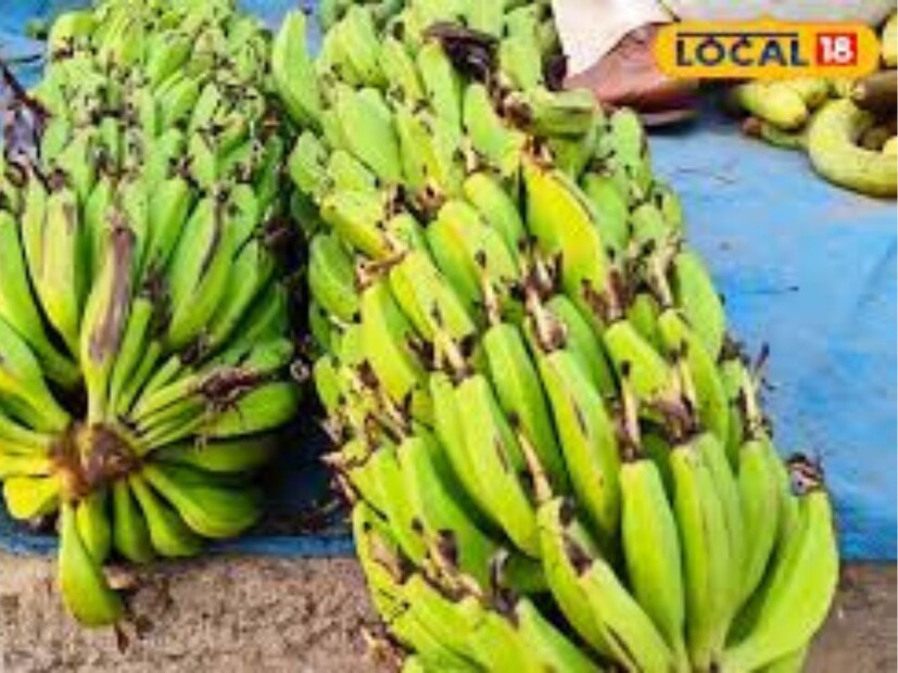 বারাবনকি জেলার হারখ ব্লকের রাসূলপুর গ্রামের বাসিন্দা আমরেশ যাদব এক একরে কলার চাষ করে প্রতি বছর প্রায় ৪ লাখ টাকা মুনাফা অর্জন করছেন।