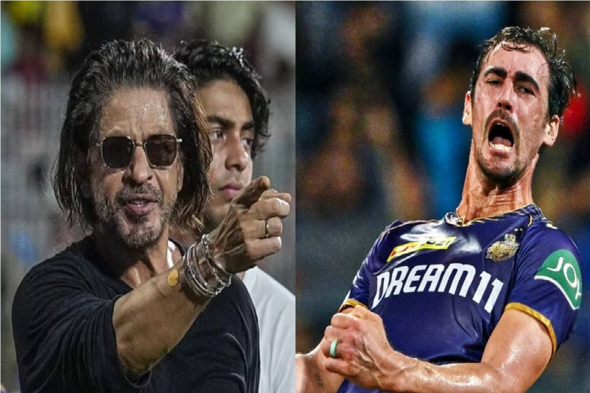 ২৫ কোটি টাকা ভ্য়ানিশ! কেকেআরের স্টার্কের এবার বেস প্রাইজ কত? অবাক হয়ে যাবেন