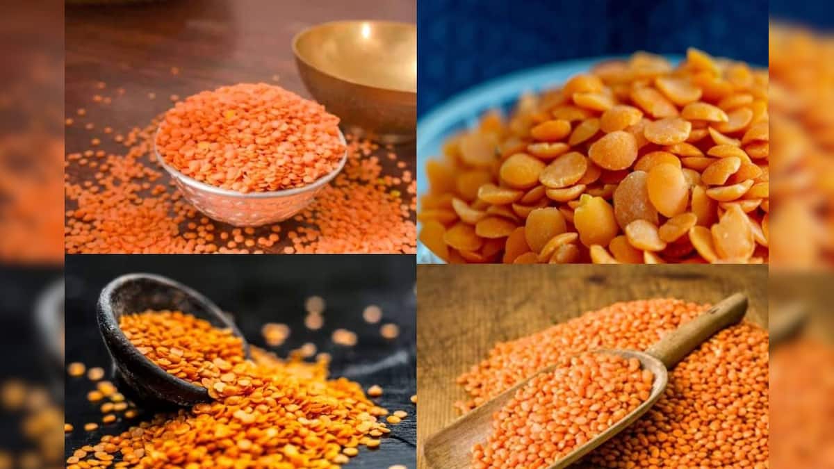 Musur Musur Dal Veg or Non Veg: উপকারিতায় ঠাসা মুসুরডাল আমিষ না নিরামিষ? কেন ...