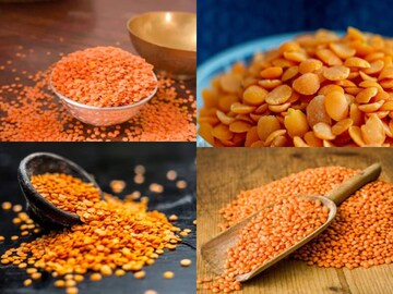 মুসুরডাল আমিষ না নিরামিষ? কেন ‘আমিষ’ বলা হয় একে? ভেবে দেখেছেন কোনওদিন? জানুন
