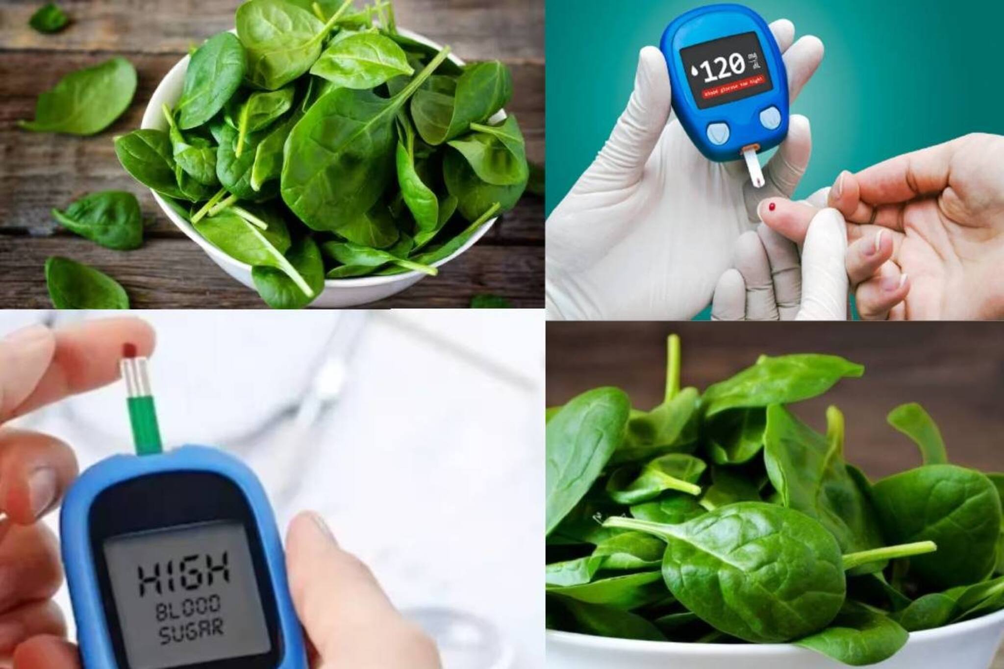 পালং শাক কি ব্লাড সুগারে খাওয়া যায়? খেলে চড়চড়িয়ে বাড়ে ডায়াবেটিস? জানুন