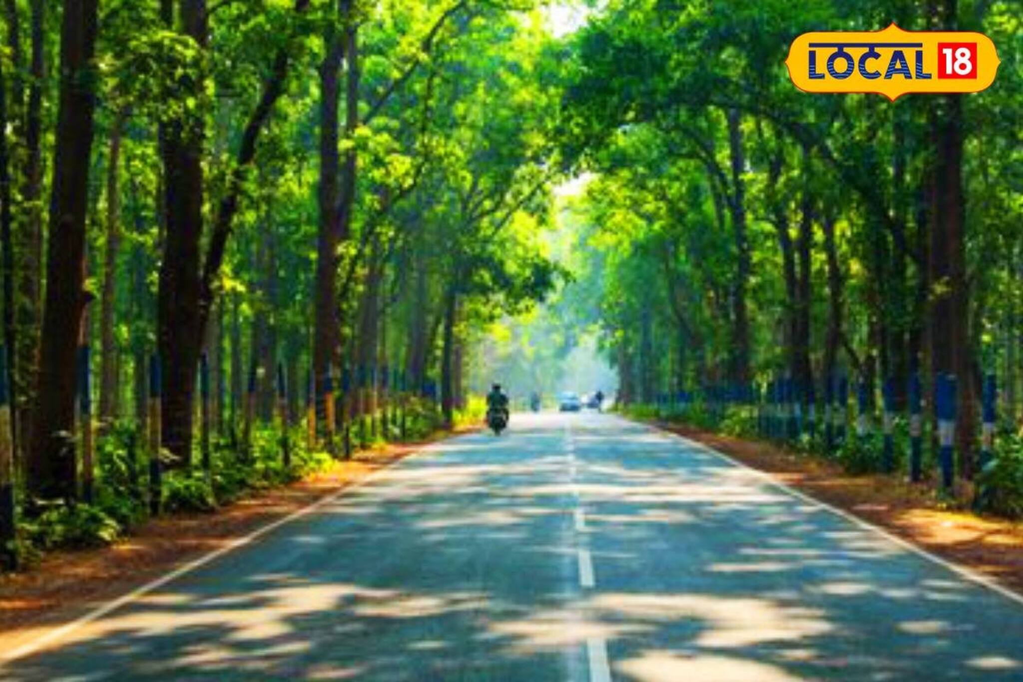 আমলাশোল, কাঁকড়াঝোড়ে বেড়াবেন? সস্তার হোমস্টের পরিষেবা আদৌ কেমন, এখনই জেনে নিন