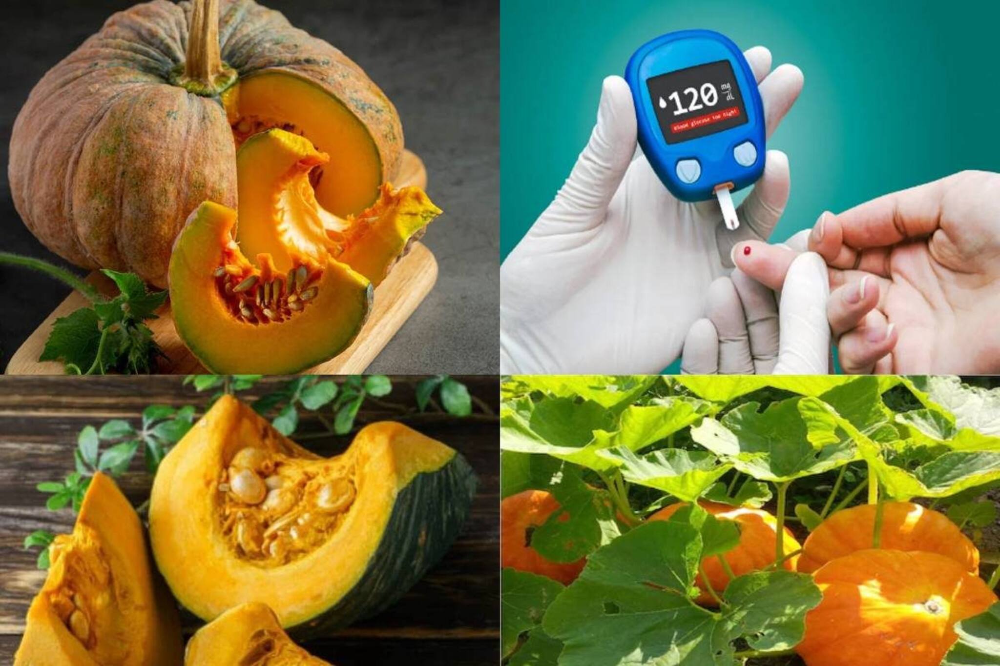 কুমড়ো কি ব্লাড সুগারে খাবেন? এটা খেলে ডায়াবেটিস বাড়বে চড়চড়িয়ে? জানুন