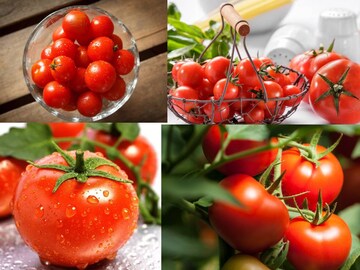 উপকারী হলেও টম্যাটো দাঁতেই খাবেন না এঁরা! কোন রোগে এটা খেলেই ঝাঁঝরা শরীর, জানুন