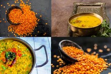 উপকারী হলেও মুসুর ডাল মুখেই দেবেন না ‘এঁরা’! জানুন কোন কোন রোগে এটা খেলে সর্বনাশ