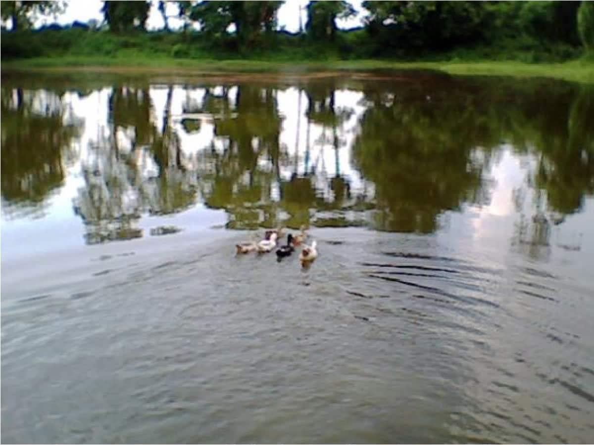প্রতীকী ছবি