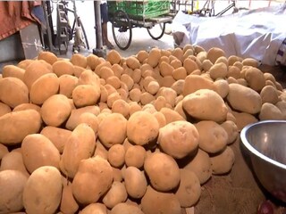 আলু 