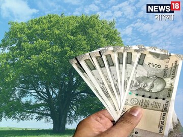 News18