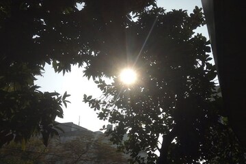 Temperature Rise:মাঘে দক্ষিণবঙ্গে তাপমাত্রা বাড়ছে হুড়মুড়িয়ে,উত্তরে এখনও দুর্যোগের অশনি