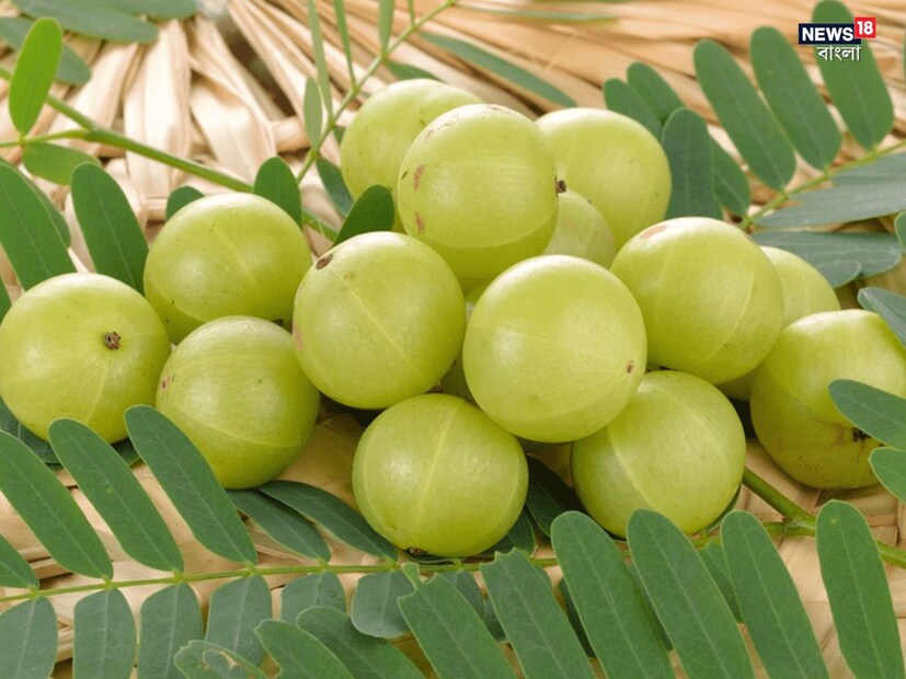 আমলকি পুষ্টিতে ভরপুর একটি সবজি: আমলকি একটি হালকা, সহজে হজমযোগ্য এবং জলসমৃদ্ধ সবজি। এতে ক্যালোরির পরিমাণ কম এবং এতে রয়েছে ফাইবার, ভিটামিন এবং মিনারেল, যা এটিকে স্বাস্থ্যের জন্য উপকারী করে তোলে। এই সবজিটি অ্যান্টিঅক্সিডেন্টে সমৃদ্ধ, যা শরীরের প্রদাহ কমাতে সহায়ক হতে পারে।