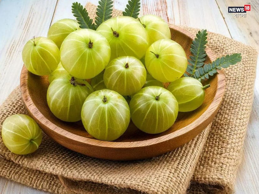 খাদ্যতালিকাগত ফাইবার: আমলকির ফাইবার উপাদান একটি স্বাস্থ্যকর পাচনতন্ত্র বজায় রাখতে সাহায্য করে এবং শরীরে ময়লা জমা হওয়া প্রতিরোধ করতে পারে।