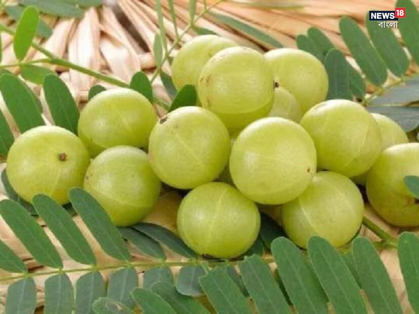 আমলকি কি সরাসরি ইউরিক অ্যাসিড কমায়? আমলকি সরাসরি ইউরিক অ্যাসিড কমায় এমন কোনো বৈজ্ঞানিক প্রমাণ নেই। তবে এটিকে সুষম খাদ্যে অন্তর্ভুক্ত করা শরীরে পিউরিনের মাত্রা নিয়ন্ত্রণে এবং ইউরিক অ্যাসিডের গঠন এড়াতে উপকারী হতে পারে।