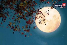 আর্থিক সমস্যায় ভুগছেন? কার্তিক পূর্ণিমায় এই কাজগুলি করলেই টাকায় ভাসবেন!