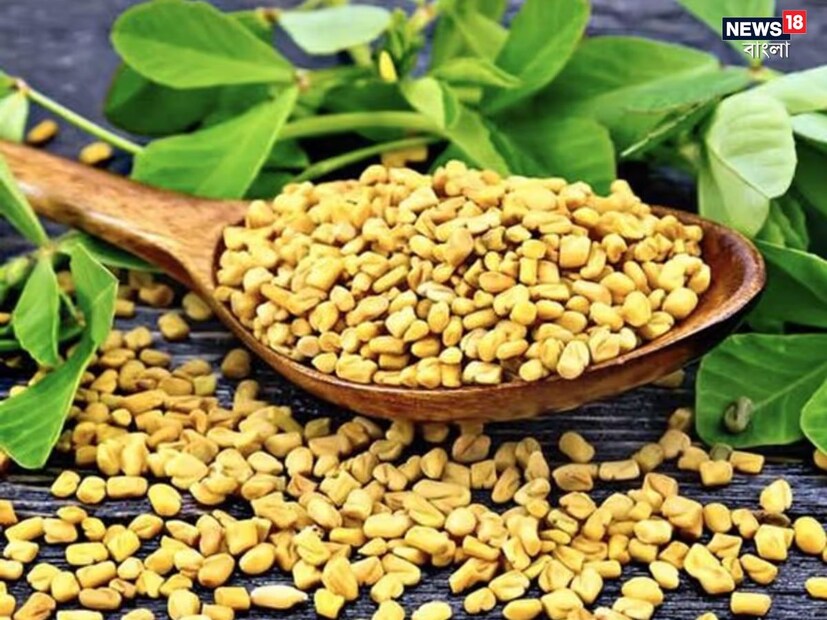 জিম এবং যোগব্যায়াম ছাড়াও মেথির বীজ আপনার ফিগার ঠিক রাখতে সাহায্য করতে পারে। এতে রয়েছে ভাল পরিমাণে ফাইবার, যা ওজন কমাতে সহায়ক একটি পুষ্টি উপাদান। 